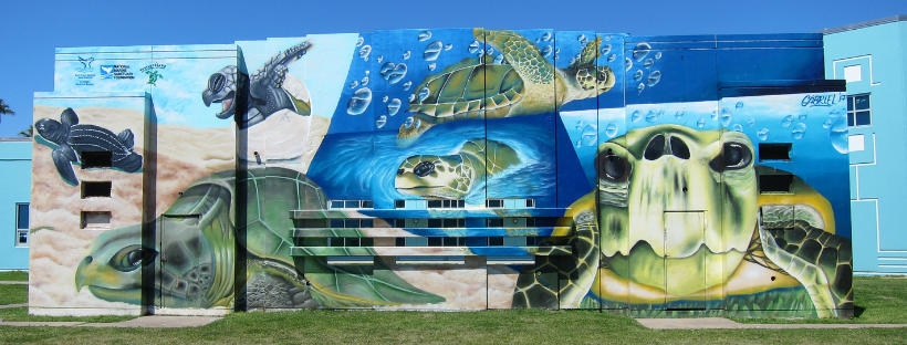 Mural of Sea Turtles at the McGuire Dent Rec Center