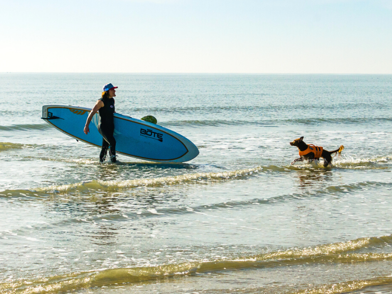 Man and dog surfing Galveston beaches