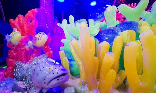 Ice sculpture of grouper and corals from Moody Gardens ICE LAND exhibit in Galveston, Texas